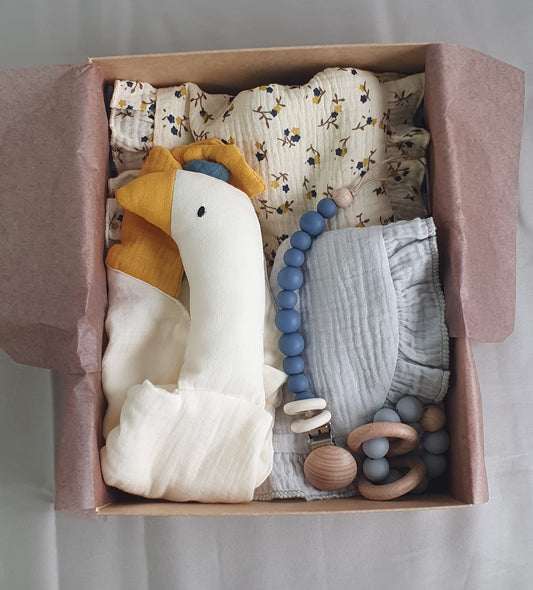The Reflux Baby Set